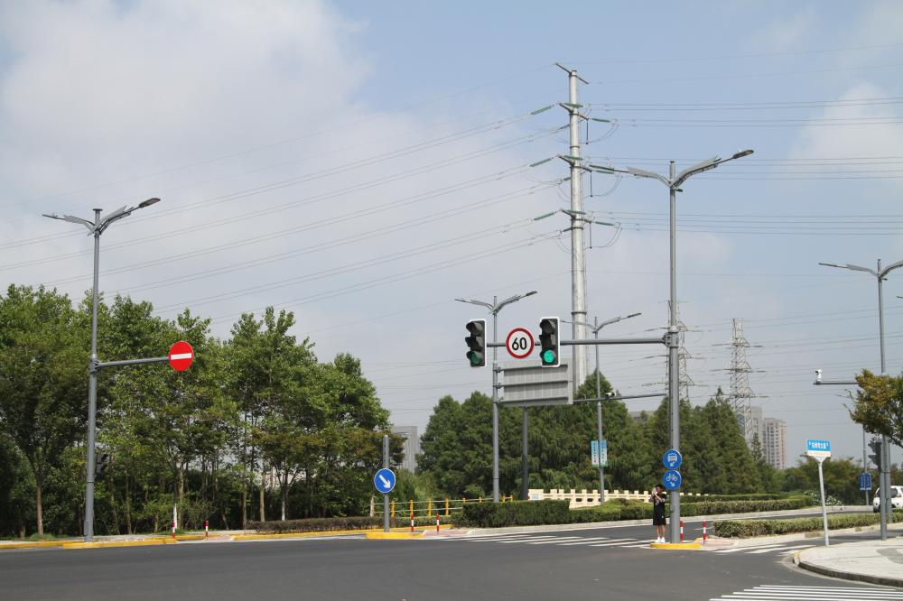 上海金山區,杭州灣大道,合桿整治,工程解析,海鷗造型,綜合桿,5G智慧基站,落地實踐